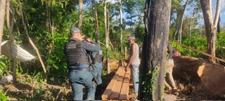 escravidão em fazenda