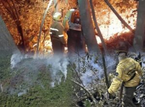 Entenda o incêndio que durou oito dias na Floresta Nacional de Carajás