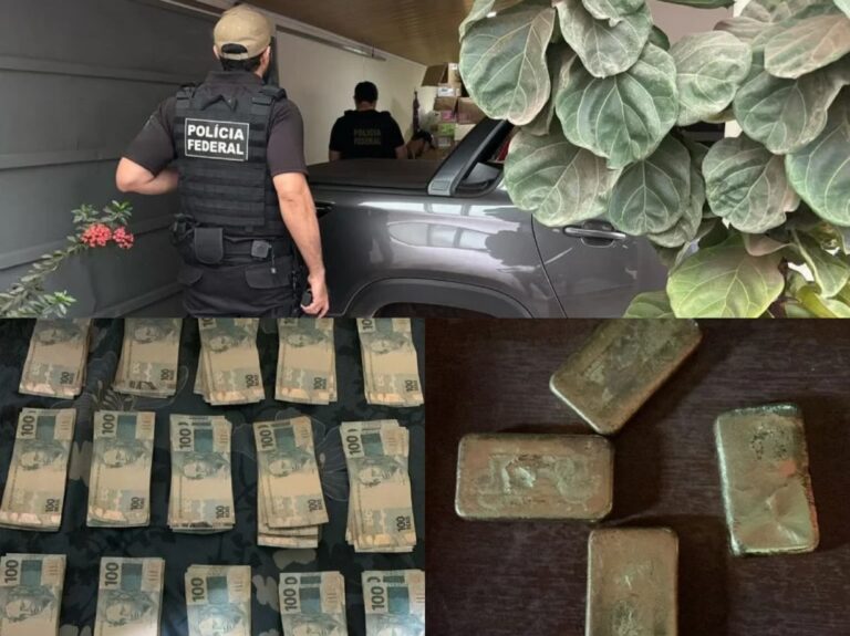 Polícia federal