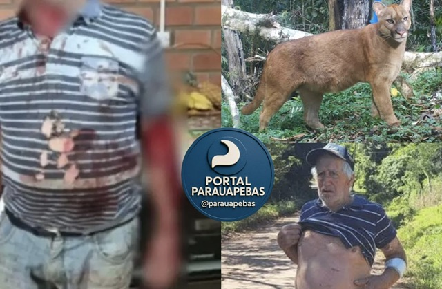 Idoso atacado por onça