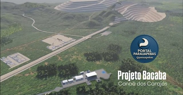 Projeto Bacaba