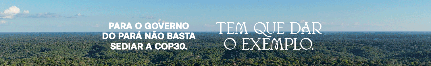 Governo do Pará