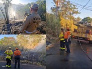 incêndios em Parauapebas