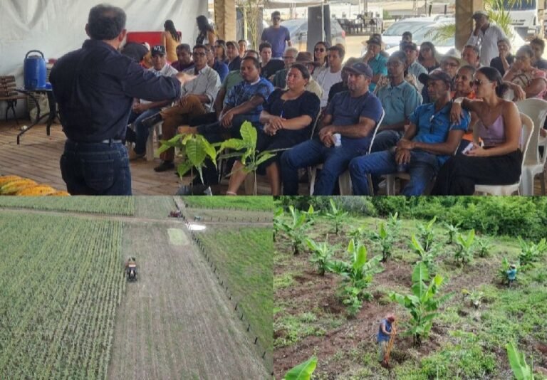 Prefeitura de Canaã