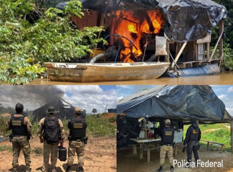 Terra Indígena Kayapó