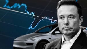 Tesla Brasil preço