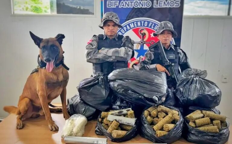 apreensão de skank no Marajó