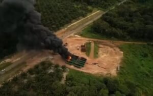 incêndio criminoso em Irituia