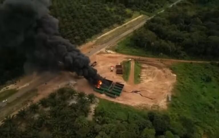 incêndio criminoso em Irituia