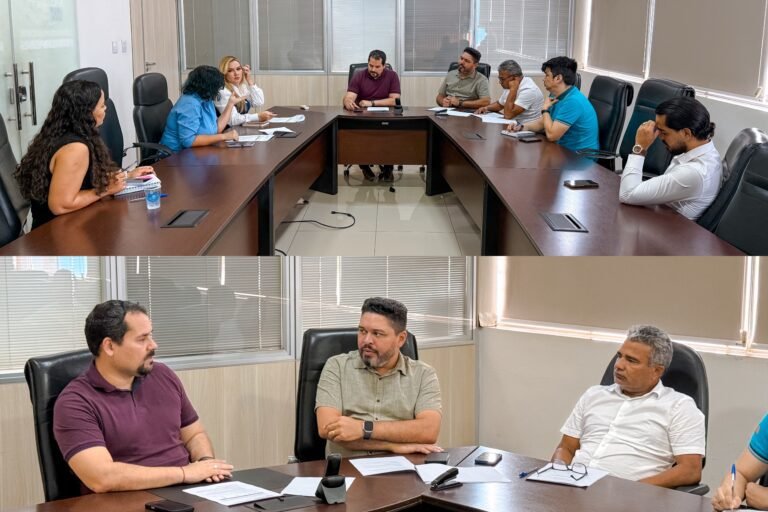 CPI da mineração Parauapebas