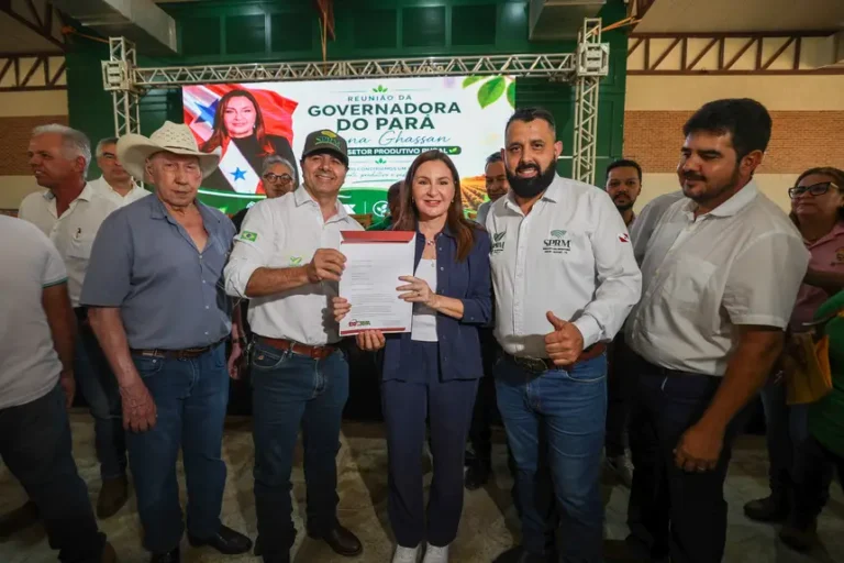 Delegacia rural