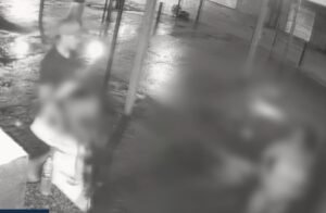 violência contra a mulher em Altamira