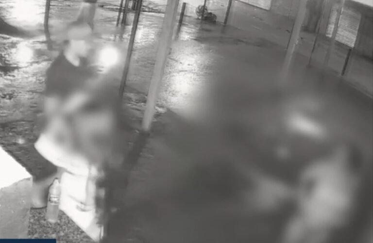 violência contra a mulher em Altamira