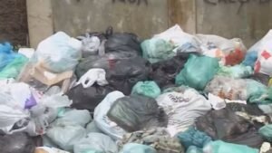 coleta de lixo em Ananindeua