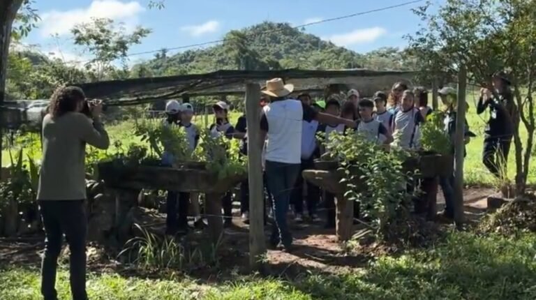 Rota do Búfalo em Parauapebas
