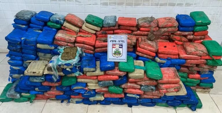 apreensão de maconha em São Domingos do Araguaia