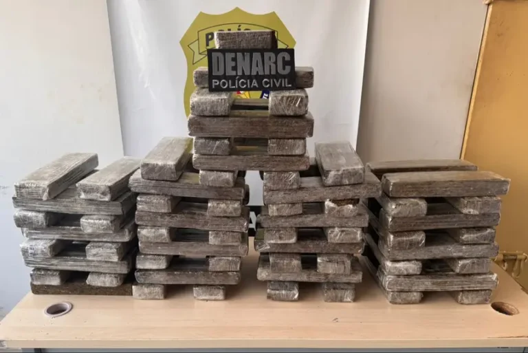 75 tabletes de maconha em Marituba