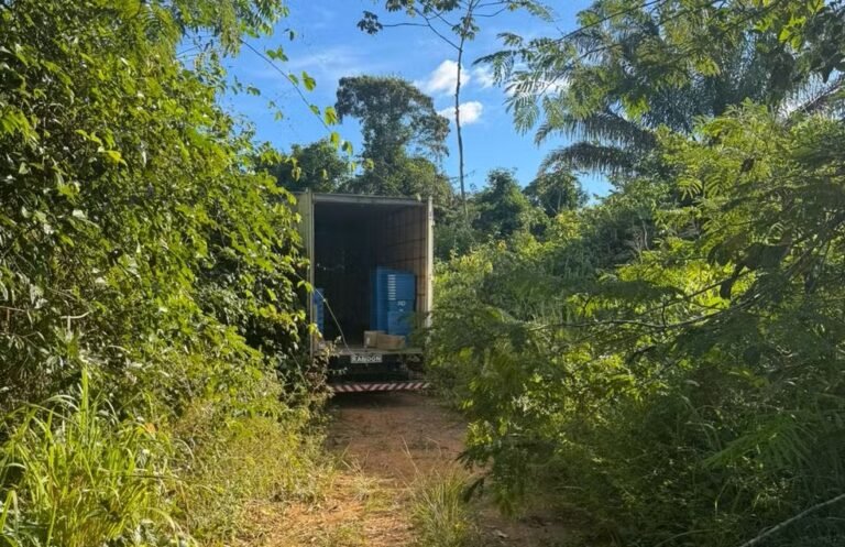 Um caminhão que transportava medicamentos foi alvo de um assalto na tarde de sábado (7), no km 15 da rodovia BR-222, em Dom Eliseu, no Pará. Durante a ação criminosa, aproximadamente 300 volumes de medicamentos lacrados foram roubados. O veículo seguia em direção a Marabá quando foi interceptado por dois homens armados que estavam em um carro. Os suspeitos usavam capuzes e portavam revólveres. Segundo informações, um dos criminosos entrou na cabine do caminhão e obrigou o motorista a seguir o veículo utilizado pelos assaltantes. Em seguida, a vítima foi conduzida até uma estrada de terra localizada a cerca de 500 metros do ponto onde ocorreu a abordagem. No local, uma área de mata fechada, o motorista permaneceu sob o domínio dos criminosos enquanto a carga era saqueada. Os assaltantes retiraram cerca de 300 volumes de medicamentos armazenados no compartimento baú do caminhão. Após a ação, os suspeitos fugiram levando a carga. O motorista foi liberado e não sofreu ferimentos. A Polícia Civil segue investigando o caso para identificar os responsáveis pelo crime e localizar os medicamentos roubados.