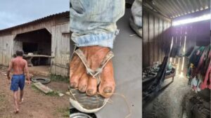 Trabalhador de 65 anos foi resgatado após quase oito anos em condições análogas à escravidão em área isolada da Amazônia. Relatório aponta moradia degradante, falta de água potável, alimentação precária e isolamento.
