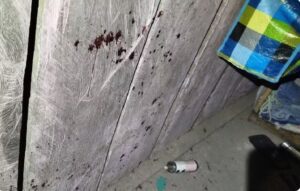 filho mata mãe no Pará