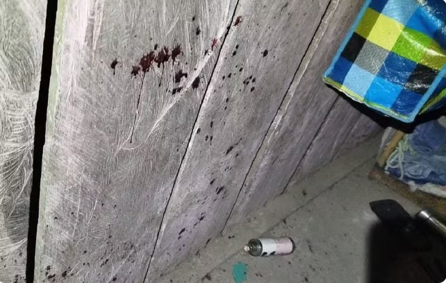 filho mata mãe no Pará
