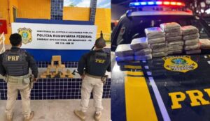 PRF apreende skunk no Pará