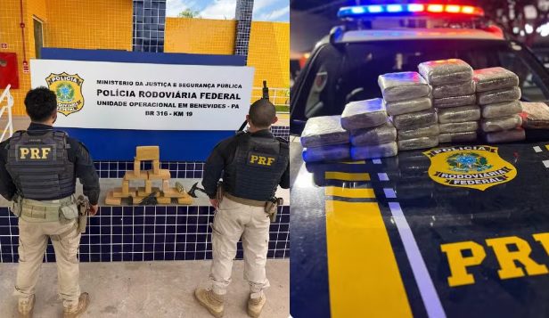 PRF apreende skunk no Pará