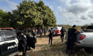 invasão de fazenda em Anapu