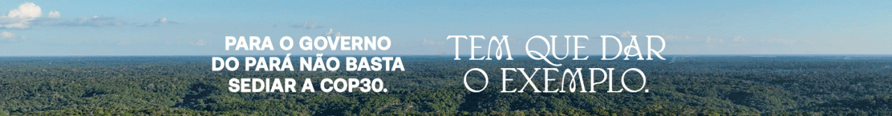 Governo do Pará